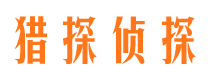 仪陇市场调查